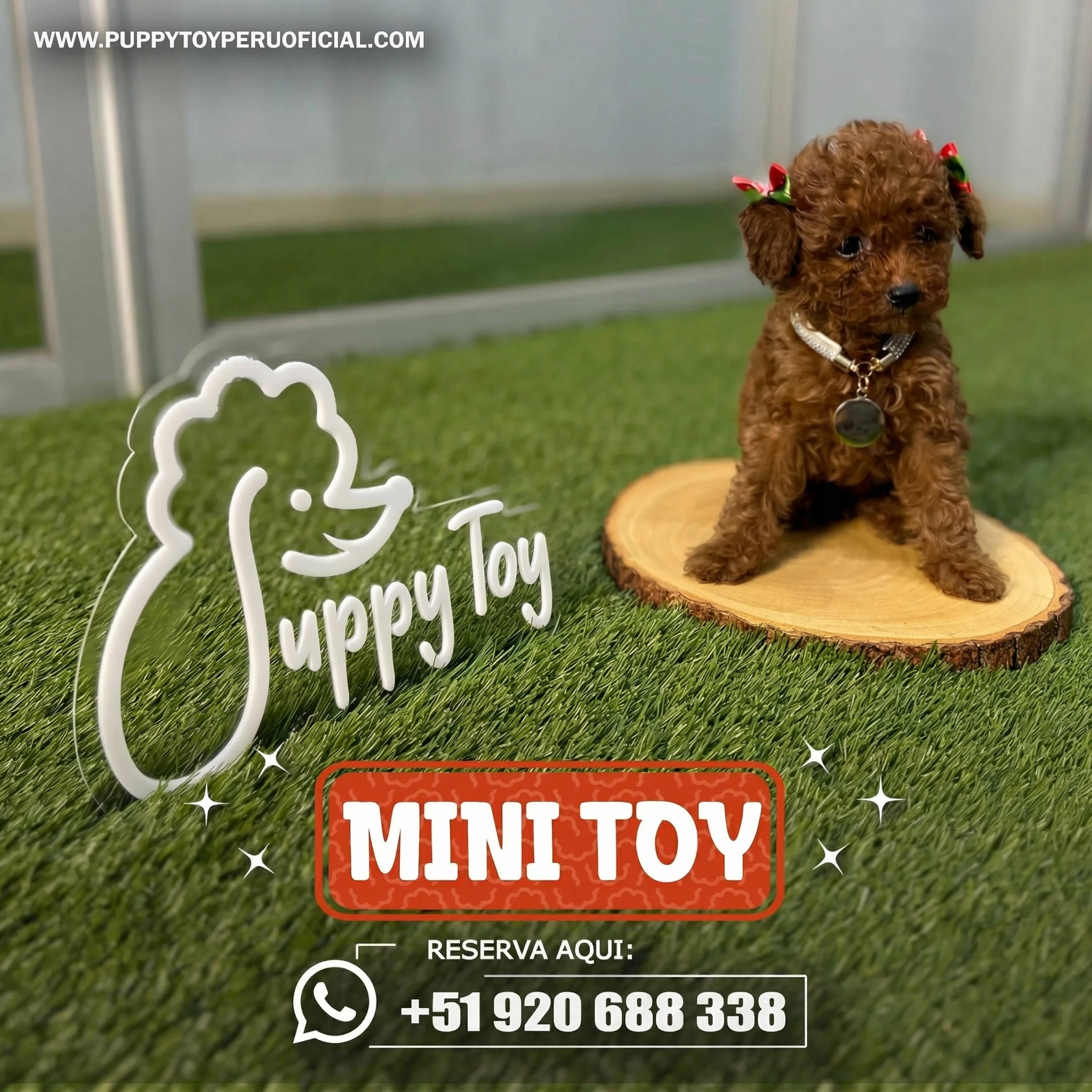 Poodle Mini Toy Rojo