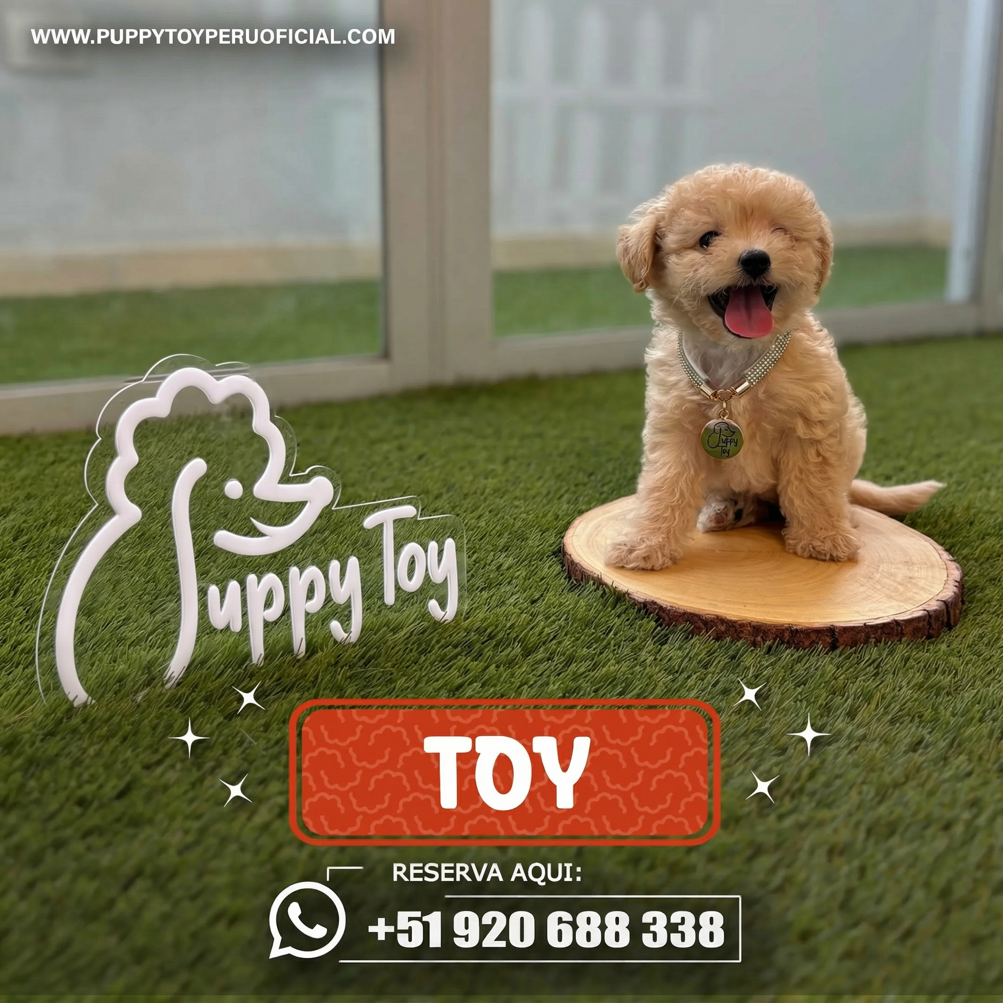 Poodle Toy Beige