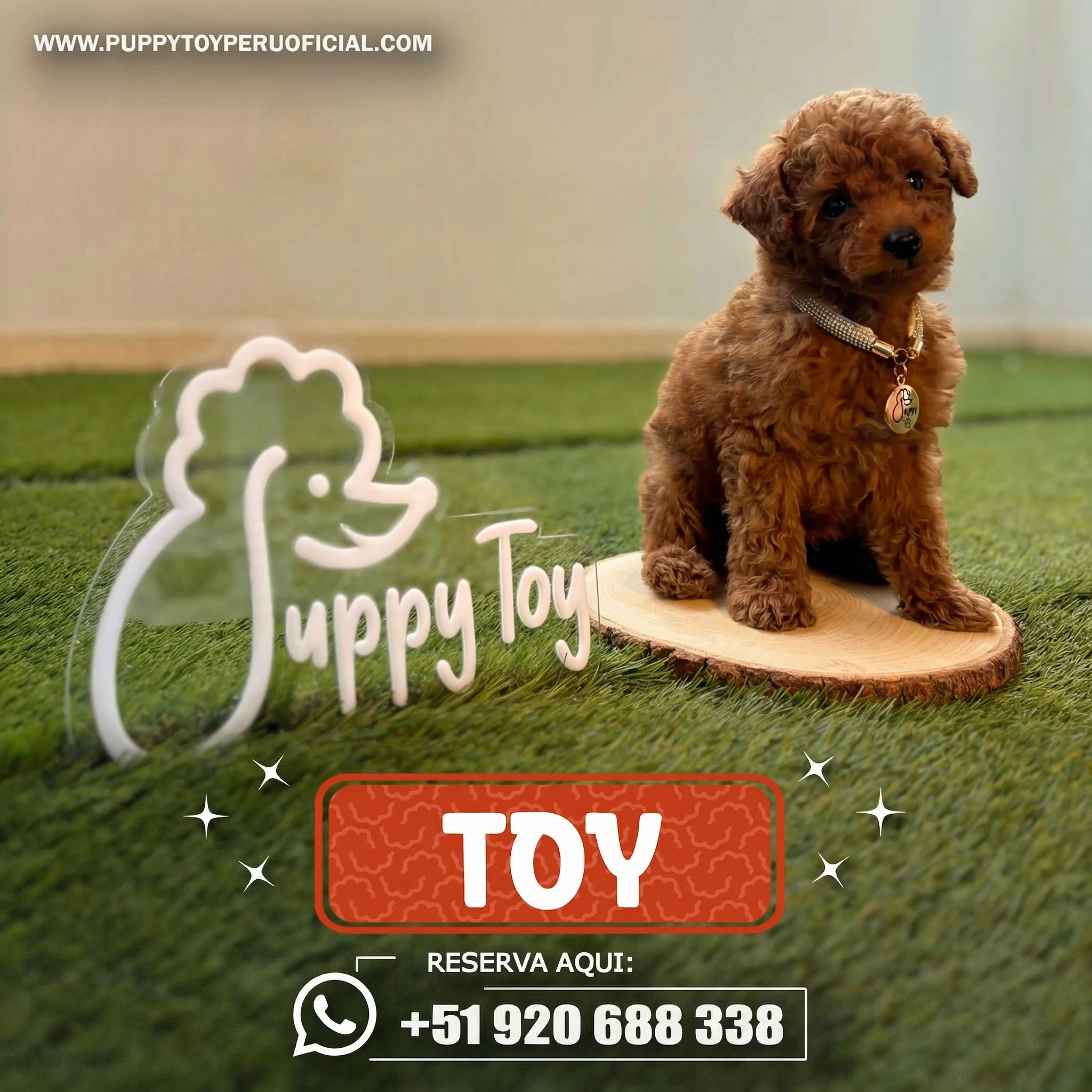 Poodle Toy Rojo